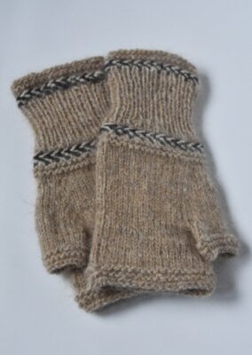 Koeravillaga poolkindad