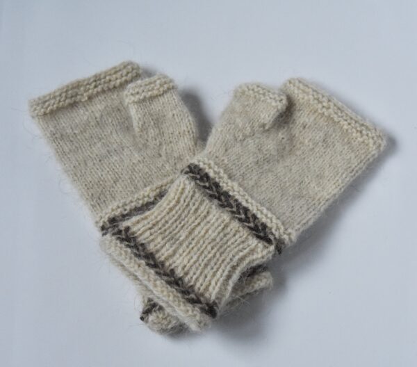 Koeravillaga poolkindad