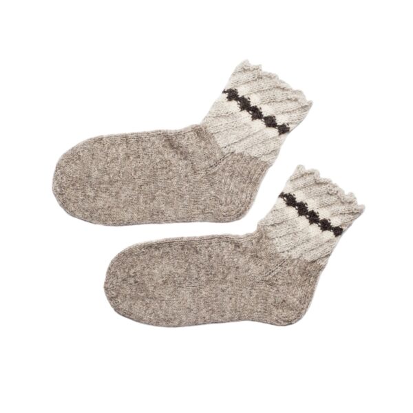 Koeravillaga pidulikud meeste sokid